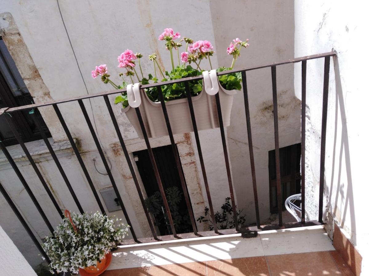 Rosa'S House Villa Conversano Kültér fotó